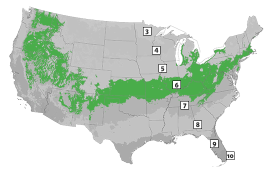 Zone 6 Growing Zone USA